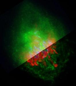 Ejemplo de deconvolución